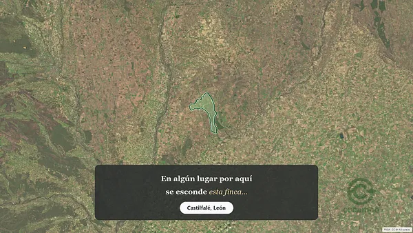 Spot image