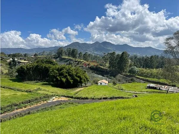 Spot image