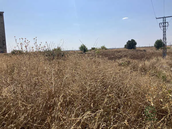Finca rústica de 2,4708 ha en venta en Molar, El, Madrid
