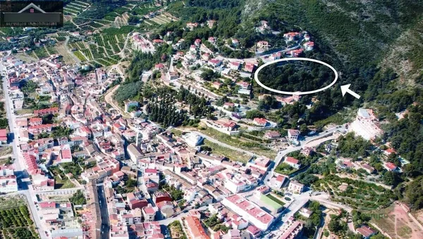 Spot image