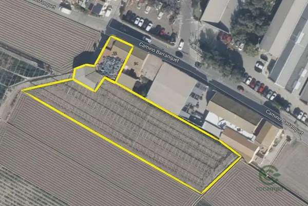 Spot image