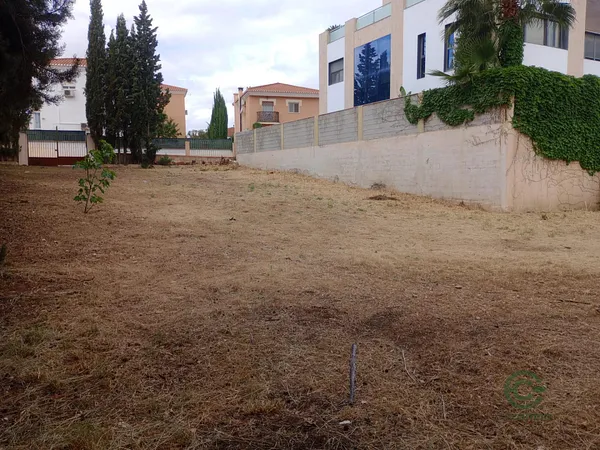 Spot image