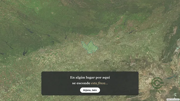 Spot image