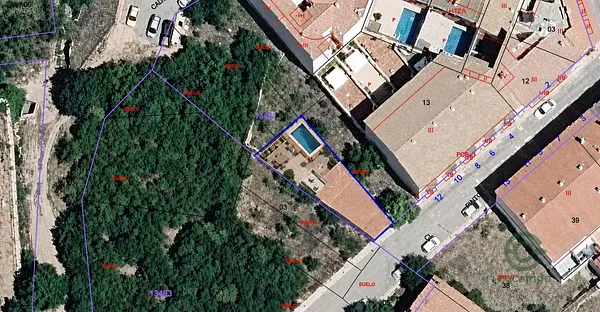 Spot image