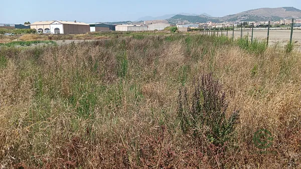 Finca agrícola de 0,0937 ha en venta en Motril, Granada