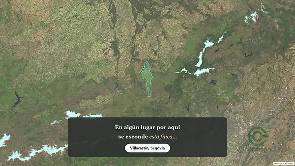 Spot image