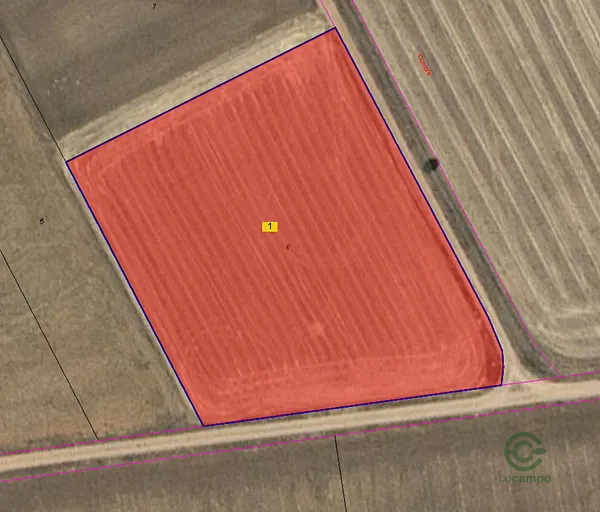Spot image