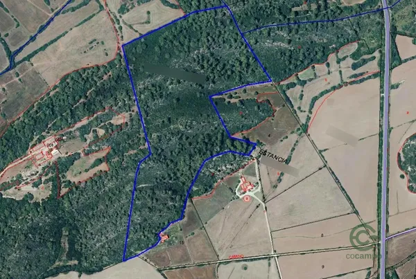 Spot image