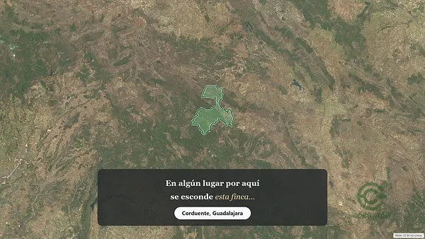Spot image