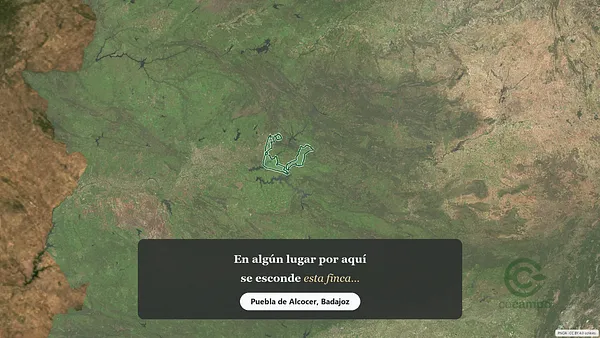 Spot image