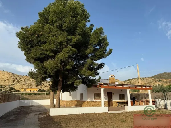 Spot image