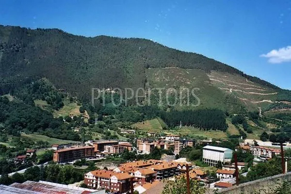 Spot image