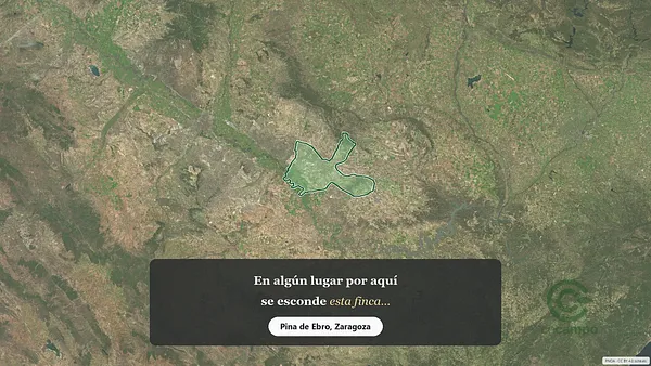 Spot image