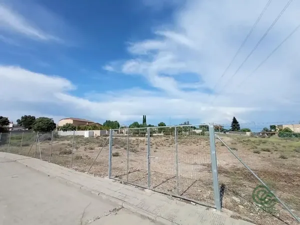Spot image