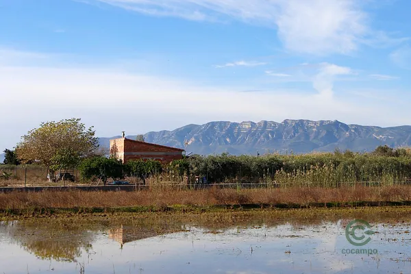Finca agrícola de 0,19 ha en venta en Amposta, Tarragona
