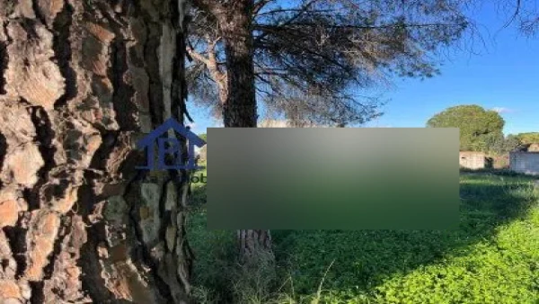 Finca rústica de 1,1 ha en alquiler en La puebla del rio, Sevilla