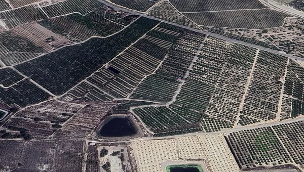 Finca agrícola de 8,2 ha en venta en Orihuela, Alicante