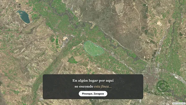 Spot image