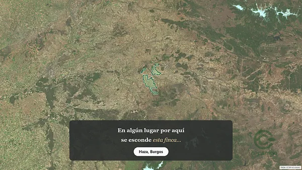 Spot image