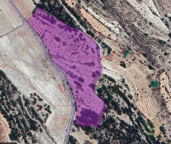 Spot image