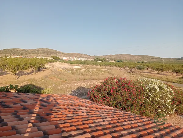 Spot image