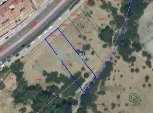 Spot image