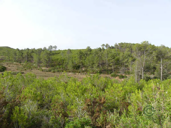 Finca rústica de 153,05 ha en venta en Bonastre, Tarragona
