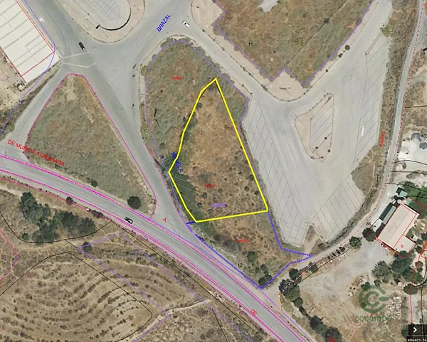 Spot image