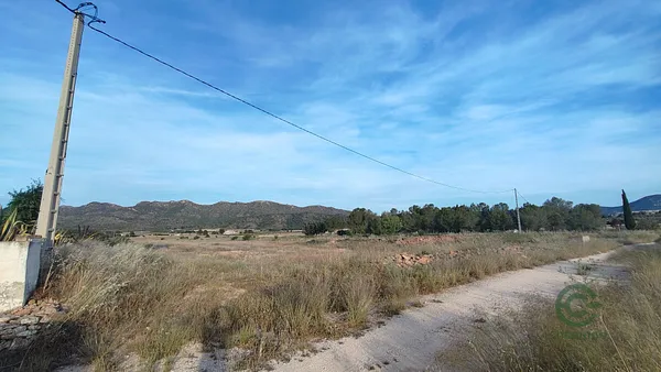 Spot image