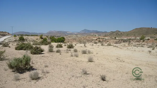 Spot image