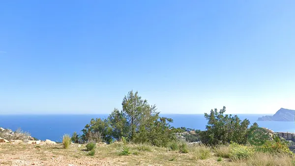 Spot image