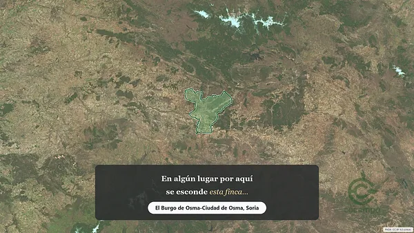 Spot image