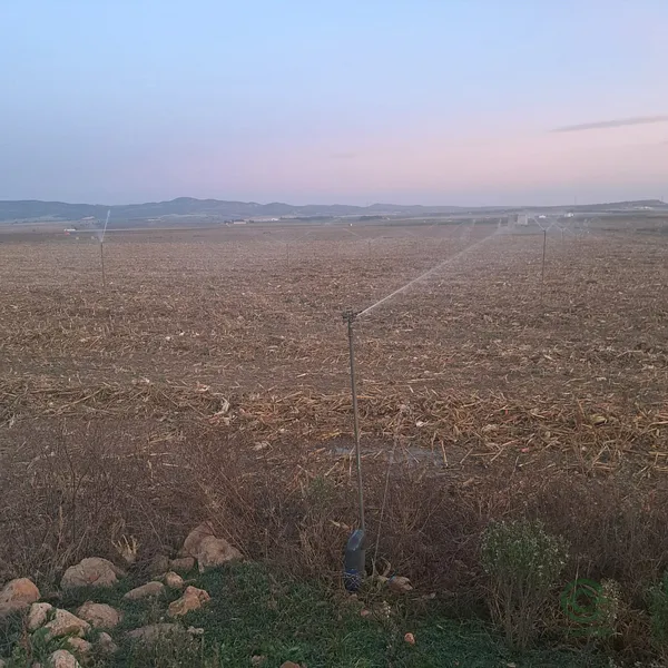 Spot image