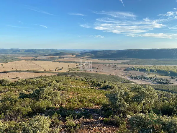 Finca rústica de 5000 ha en venta en Alcázar de san juan, Ciudad real
