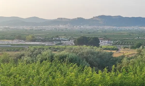 Spot image