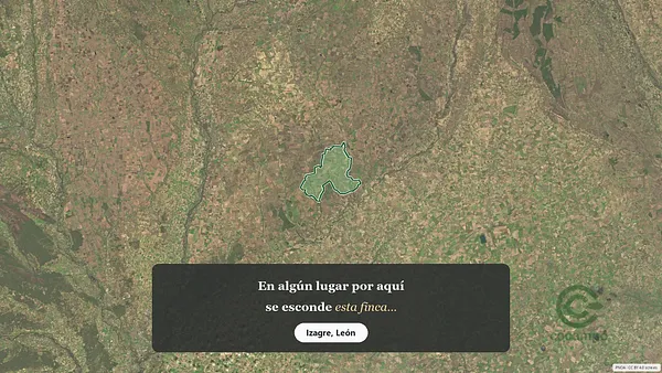 Spot image