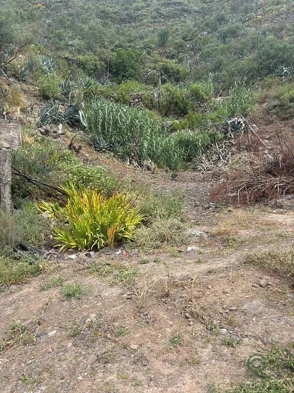 Finca agrícola de 0,07 ha en venta en Las Palmas