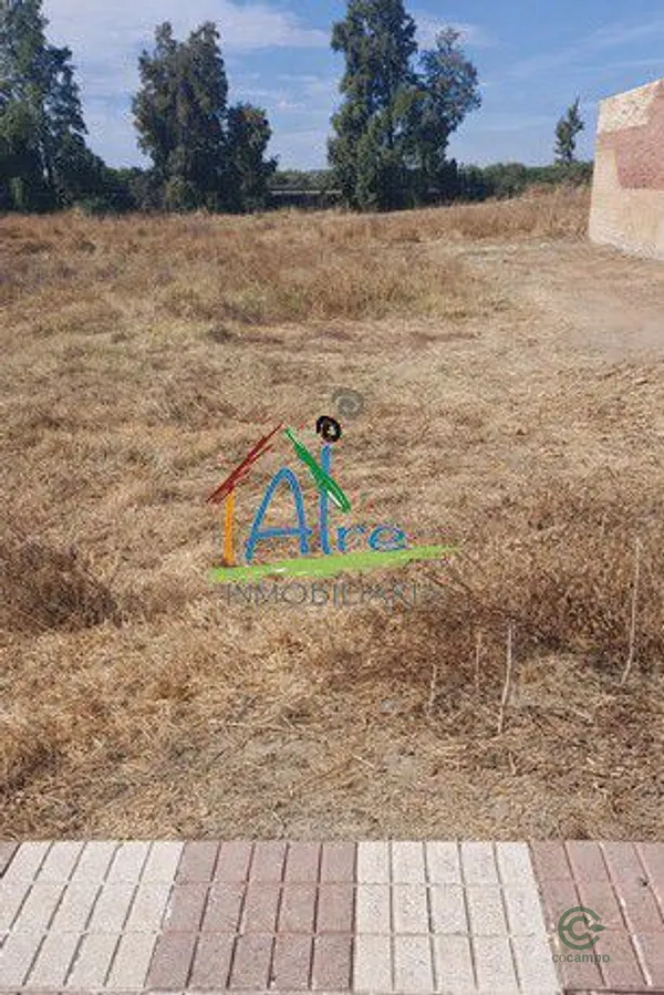 Spot image