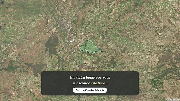 Spot image