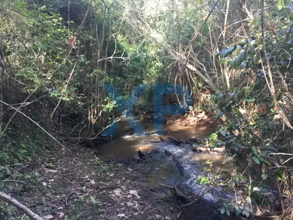 Fazenda agrícola de 12 ha para venda em Minas gerais