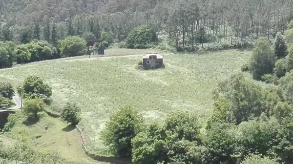 Spot image
