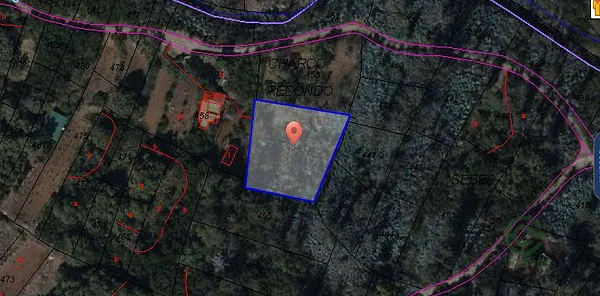 Spot image