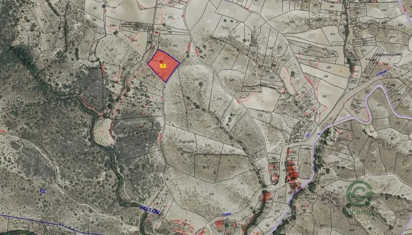 Spot image