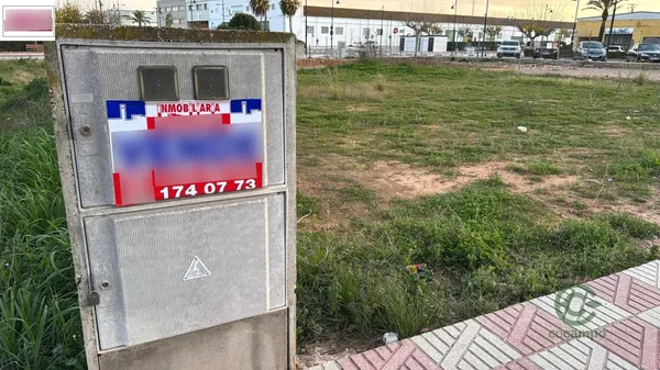 Spot image