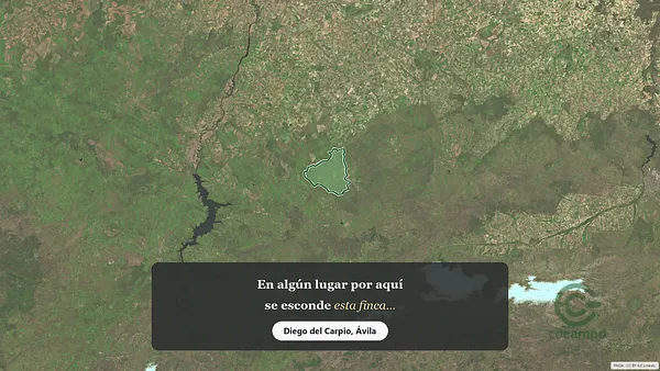 Spot image