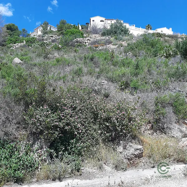 Spot image