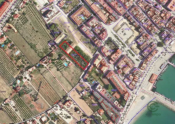 Spot image