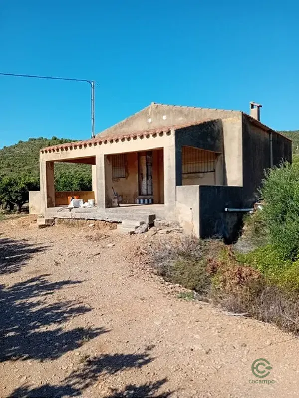 Spot image