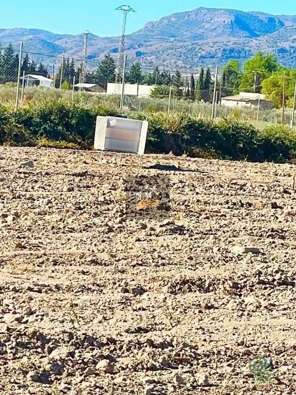 Finca agrícola de 0,7 ha en venta en Alhama de murcia, Murcia