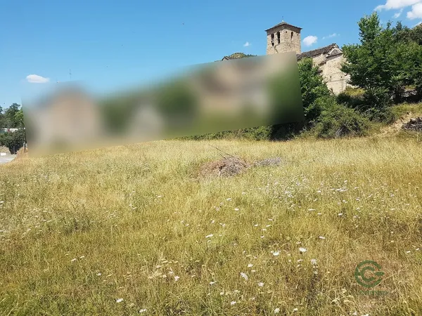 Spot image